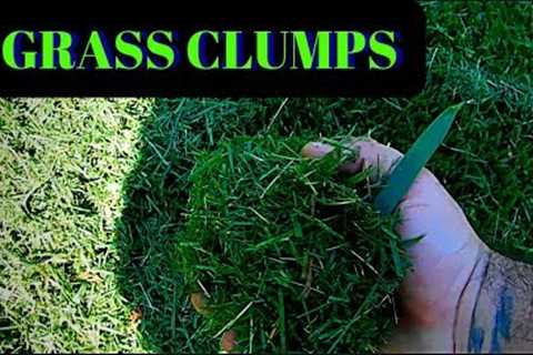 How to clean up grass clumps without bagging your lawn clippings