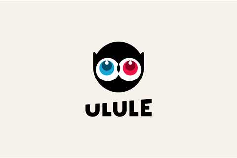 Ulule - Crowdfunding with a twist: success!