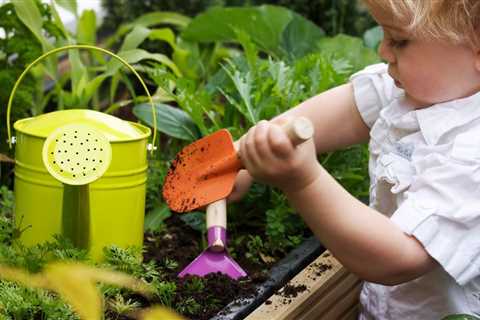 Tips For June Gardening