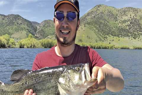 Ideal Water pH Levels for Bass Fishing in Northern VA