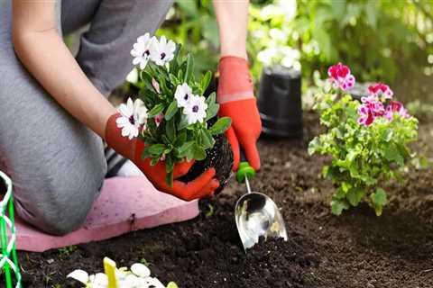 Can gardening improve your health?