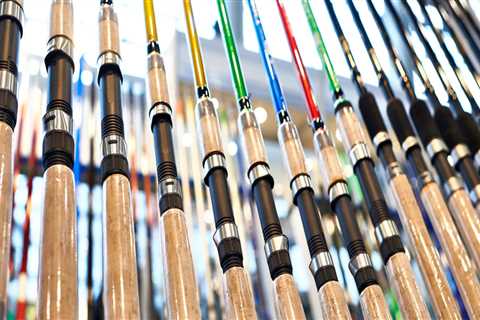 What kind of fishing pole do i need in florida?