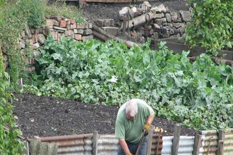 What are the 5 steps in preparing garden plots?