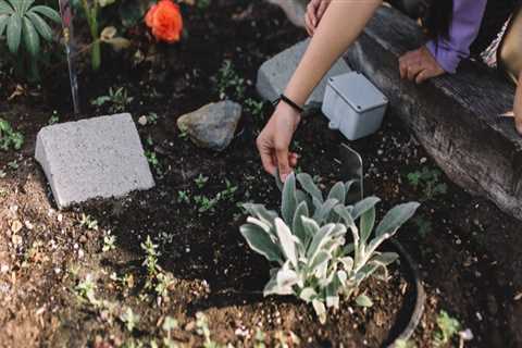 Can gardening make you happy?