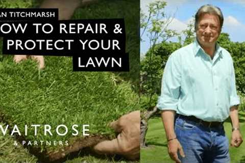 How To Repair and Protect Your Lawn | Waitrose