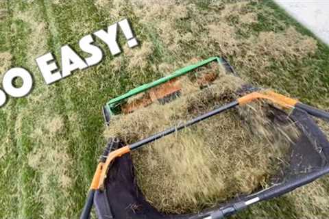 A BETTER WAY To Collect Your THATCH - Dethatching and Overseeding