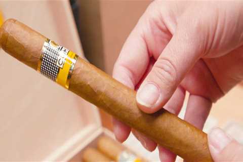How Much Do Cuban Cigars Cost? An Expert's Perspective