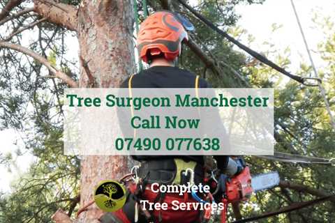 Tree Surgeons in Pitses Commercial And Residential Tree Removal Services