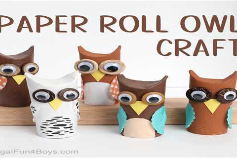 Toilet Paper Roll Owls