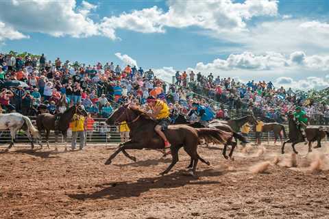 When the Cheyenne Acquired Horses in the 18th Century, the Connection Transformed the Tribe