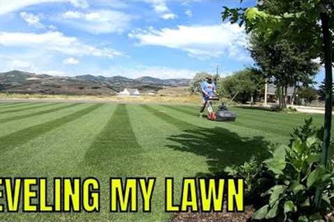 How to TOP DRESS your lawn to make a FLAT LEVEL surface