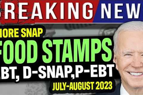 JUST IN! More SNAP Food Stamp Benefits Are Coming (July - August 2023) EBT, P-EBT & D-SNAP..