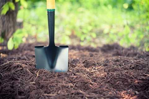 How to Lay Mulch Like a Pro: A Comprehensive Guide