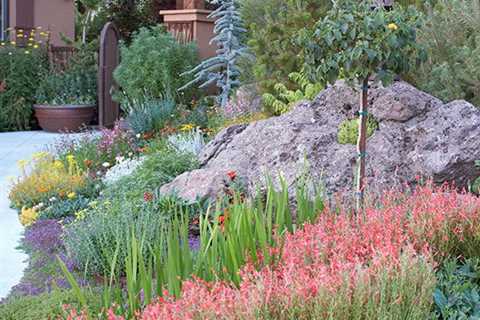 What Is Xeriscape Landscaping - NC Mountainscape