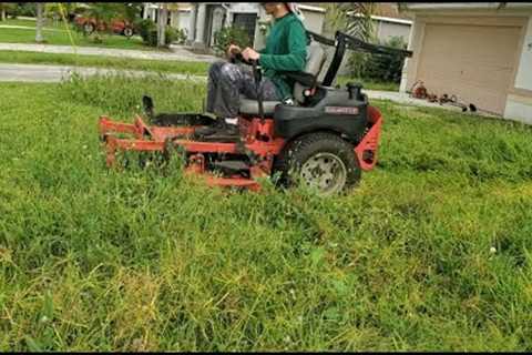 Neighbors FED UP with Overgrown Lawn  |  Transforming this Neglected Property