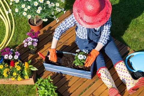 Mastering the Art of Building a Succulent Vegetable Patch