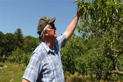 Protecting Orchards from Extreme Weather in Dripping Springs, Texas