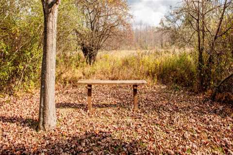 Capturing the Photogenic Beauty of Bucks County, PA