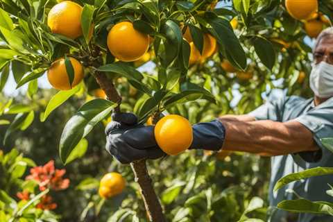 Expert Guide to Seasonal Organic Care for Citrus Trees