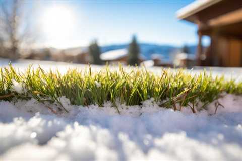 Going Green from Roots to Blades – How to Master Organic Lawn Care