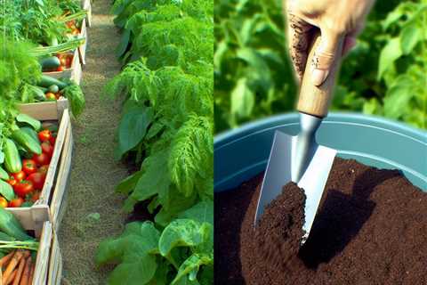 “Can I use coffee grounds as fertilizer for my vegetable garden?”