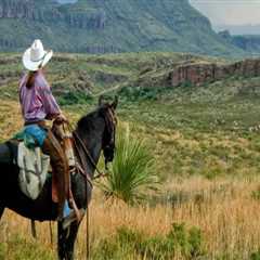 Horseback Riding in Hays County, TX: A Paradise for Outdoor Enthusiasts