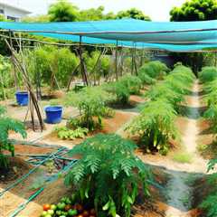 “How can I grow a successful vegetable garden in a hot climate?”
