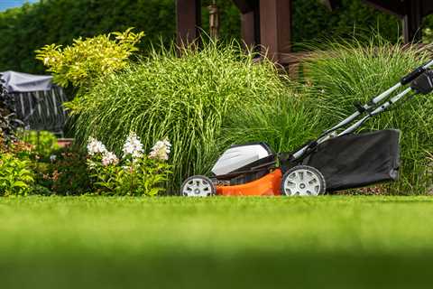 Revolutionizing Gardening: The Power of Cordless Tools