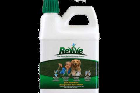 How To Revive Grass From Dog Urine