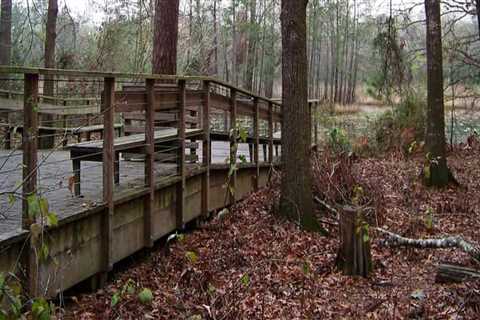 Exploring the Wheelchair Accessible Trails in Hays County, TX: A Guide for Outdoor Enthusiasts with ..