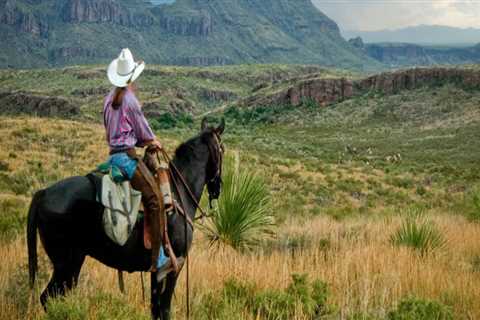 Horseback Riding in Hays County, TX: A Paradise for Outdoor Enthusiasts