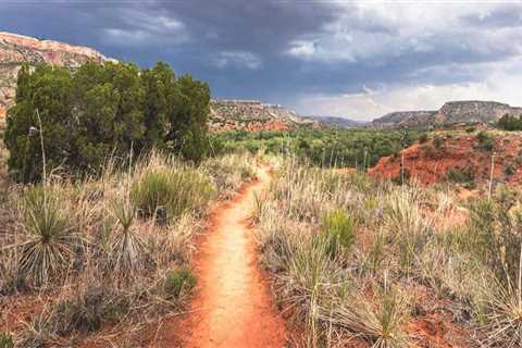 The Ultimate Guide to Conquering the Most Challenging Trails in Hays County, TX