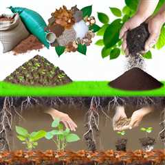 “How to Restore Soil After Using Chemical Fertilizers”