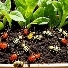 Pest Control in Raised Gardens: Identify & Treat