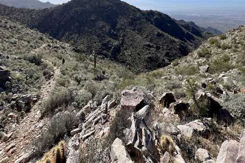 Unlock the Wonders of Maricopa County, Arizona