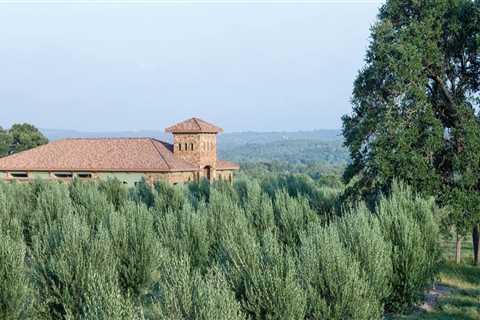 What is the Average Size of an Orchard in Dripping Springs, Texas?