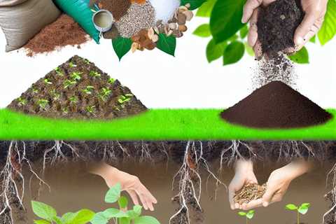 “How to Restore Soil After Using Chemical Fertilizers”