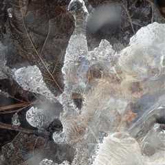 Frozen Water I (Leaf)