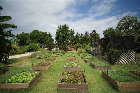 The Diverse and Sustainable Hawaii Food System