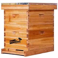 Beehive Kit: Wooden Frames & Waxed Foundations