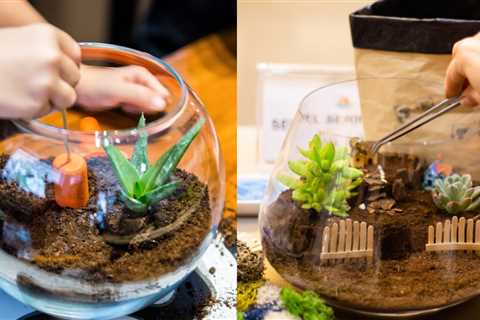 Make your own Mini Terrarium