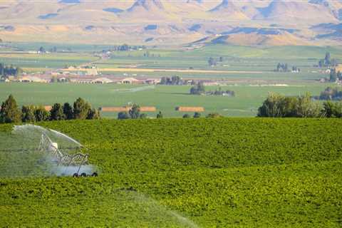 The Thriving Agriculture Industry in Canyon County, ID