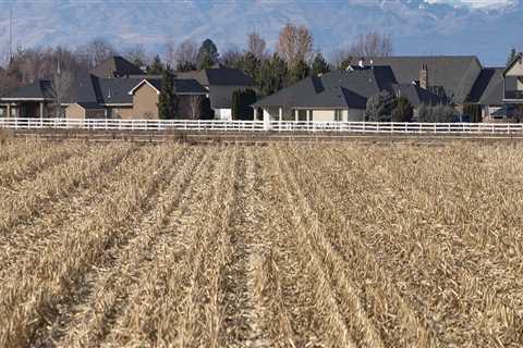 Exploring the Organic Farms in Canyon County, ID