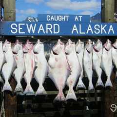 Halibut Fishing: An Angler’s Guide