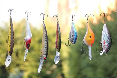 Fishing Poppers: A Beginner’s Guide