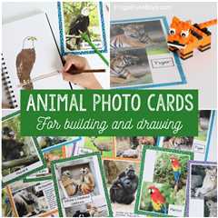 Animal Photo Cards {Drawing or Building Activity}