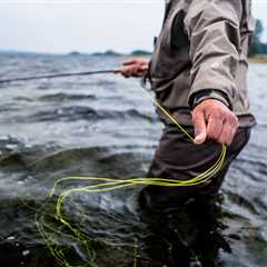 Fly Fishing Lines: A Beginner’s Guide for 2024