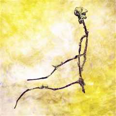 Twig (Branch as Your Spine)