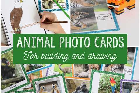 Animal Photo Cards {Drawing or Building Activity}