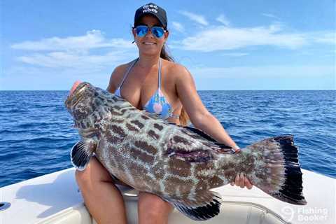 Grouper Season in Florida: The Complete Guide for 2024